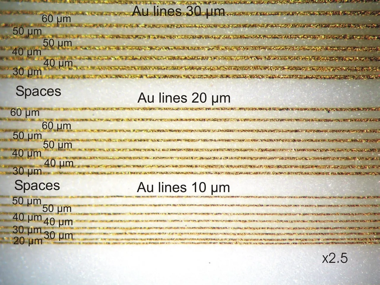 Magnified fine line test print: gold (Au) lines of 30, 20 and 10 µm, with spaces from 60 µm down to 20 µm